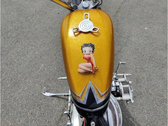 Harley davidson costum built - afbeelding 27 van  55