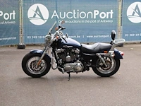 Harley-davidson sportster xl 1200 custom custom benzine 2012 - afbeelding 1 van  1