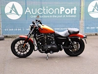 Harley-davidson sportster xl883 iron benzine 2012 - afbeelding 1 van  1