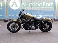Harley-davidson sportster xl883 iron benzine 2019 - afbeelding 1 van  1