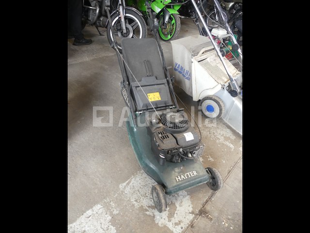 Hayter harryer 41 benzine grasmaaier - afbeelding 1 van  5