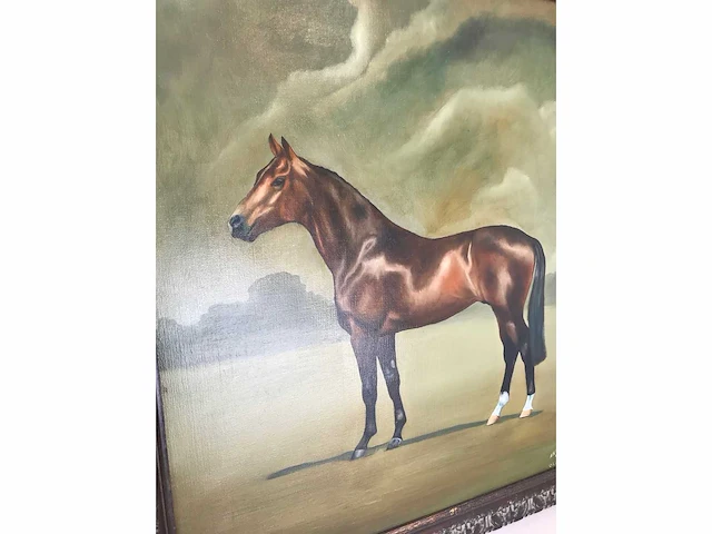 Heel groot paarden olieverfschilderij 122cm! nederlandsche school. gesigneerd. - afbeelding 3 van  7