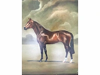 Heel groot paarden olieverfschilderij 122cm! nederlandsche school. gesigneerd. - afbeelding 5 van  7