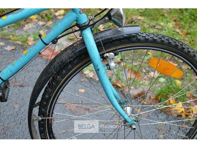 Herenfiets gazelle, vrouwenfiets canyon - afbeelding 2 van  13