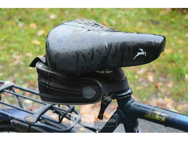 Herenfiets gazelle, vrouwenfiets canyon - afbeelding 9 van  13