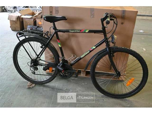 Herenfiets stablinski - afbeelding 1 van  3