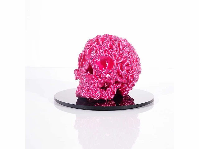 Het skull "fushia pink " - alvaro mendez - 2024 - 3d sculptuur gelimiteerd 30 stuks - 20x20x23 - certificaat - afbeelding 3 van  7