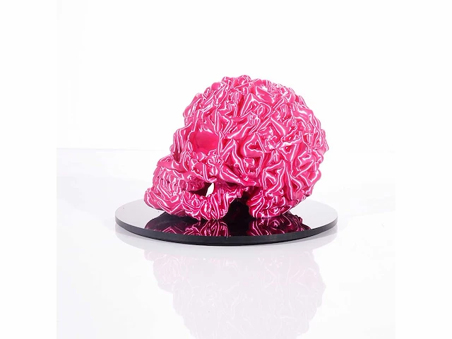Het skull "fushia pink " - alvaro mendez - 2024 - 3d sculptuur gelimiteerd 30 stuks - 20x20x23 - certificaat - afbeelding 4 van  7