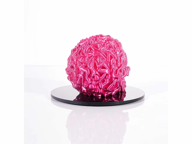 Het skull "fushia pink " - alvaro mendez - 2024 - 3d sculptuur gelimiteerd 30 stuks - 20x20x23 - certificaat - afbeelding 5 van  7