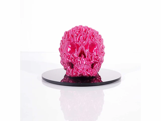 Het skull "fushia pink " - alvaro mendez - 2024 - 3d sculptuur gelimiteerd 30 stuks - 20x20x23 - certificaat - afbeelding 7 van  7