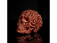 Het skull "goud" - alvaro mendez - 2023 - beperkt & certificaat - afbeelding 2 van  4
