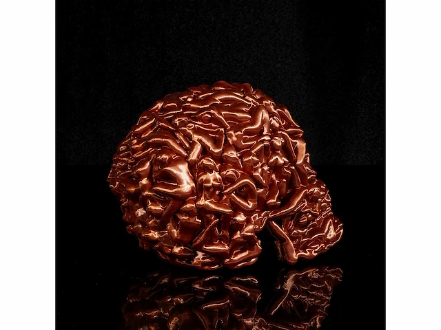 Het skull "goud" - alvaro mendez - 2023 - beperkt & certificaat - afbeelding 3 van  4