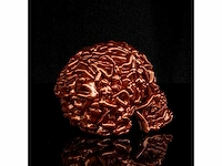 Het skull "goud" - alvaro mendez - 2023 - beperkt & certificaat - afbeelding 3 van  4