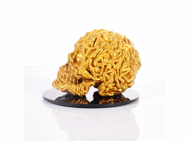 Het skull "goudglans" - alvaro mendez - 2024 - 3d sculptuur gelimiteerd 30 stuks - 20x20x23 - certificaat - afbeelding 4 van  8