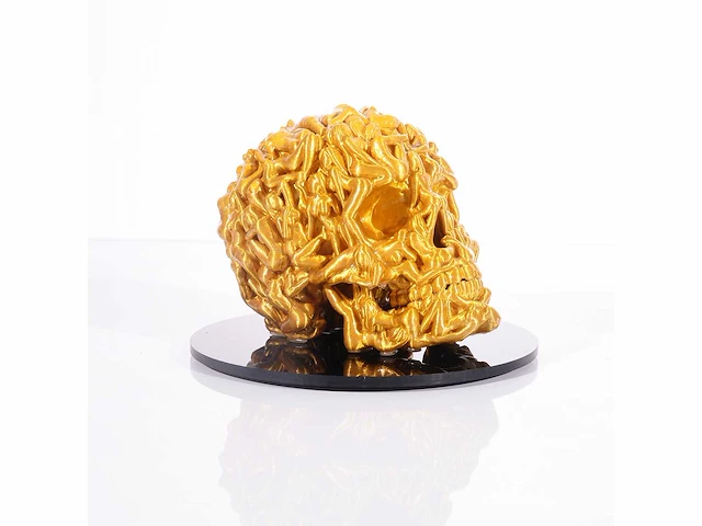 Het skull "goudglans" - alvaro mendez - 2024 - 3d sculptuur gelimiteerd 30 stuks - 20x20x23 - certificaat - afbeelding 7 van  8