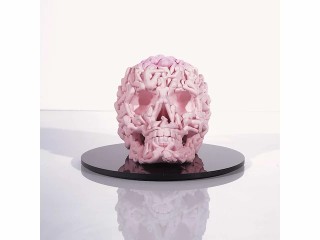 Het skull "roze mat" - alvaro mendez - 2024 - 3d sculptuur gelimiteerd 30 stuks - 20x20x23 - certificaat - afbeelding 1 van  6