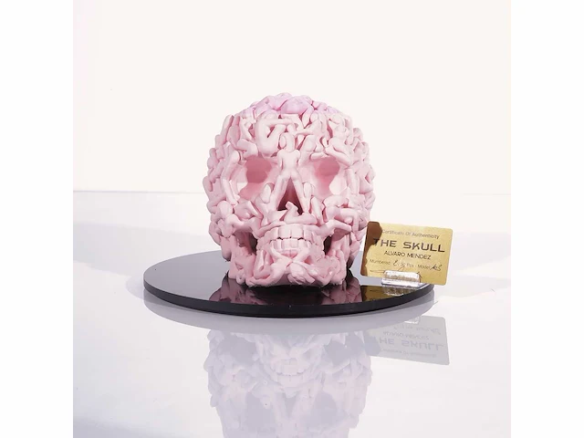 Het skull "roze mat" - alvaro mendez - 2024 - 3d sculptuur gelimiteerd 30 stuks - 20x20x23 - certificaat - afbeelding 2 van  6
