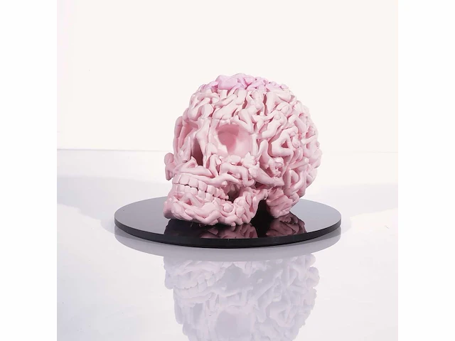 Het skull "roze mat" - alvaro mendez - 2024 - 3d sculptuur gelimiteerd 30 stuks - 20x20x23 - certificaat - afbeelding 3 van  6