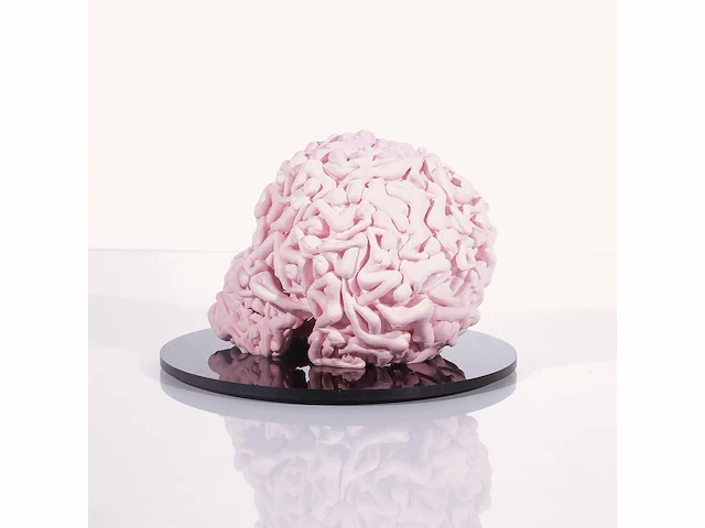 Het skull "roze mat" - alvaro mendez - 2024 - 3d sculptuur gelimiteerd 30 stuks - 20x20x23 - certificaat - afbeelding 4 van  6