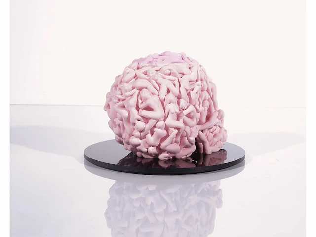 Het skull "roze mat" - alvaro mendez - 2024 - 3d sculptuur gelimiteerd 30 stuks - 20x20x23 - certificaat - afbeelding 5 van  6