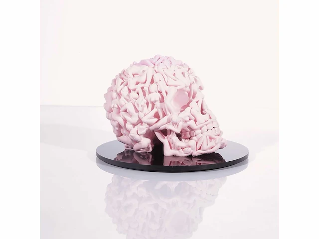 Het skull "roze mat" - alvaro mendez - 2024 - 3d sculptuur gelimiteerd 30 stuks - 20x20x23 - certificaat - afbeelding 6 van  6