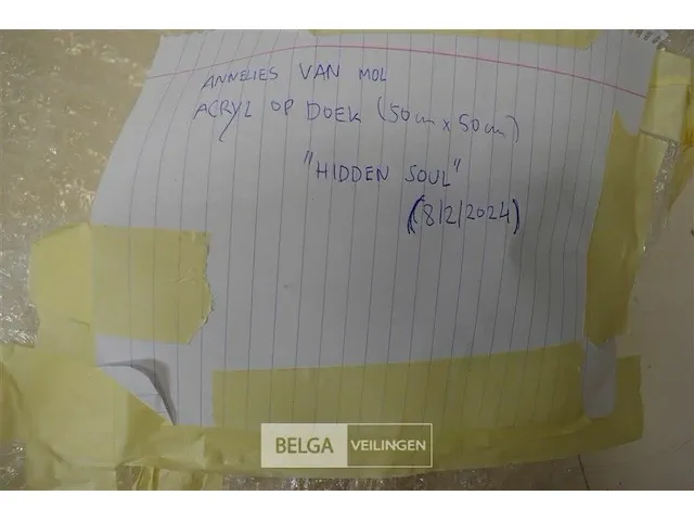 Hidden soul annelies van mol - afbeelding 7 van  7