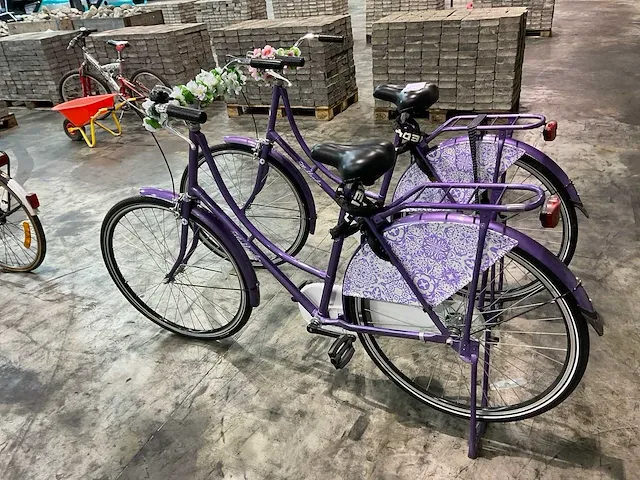 Highlander damesfietsen (2x) - afbeelding 3 van  3