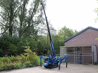 Hijskraan tadano tm-15z-2-03 benzine - afbeelding 1 van  1