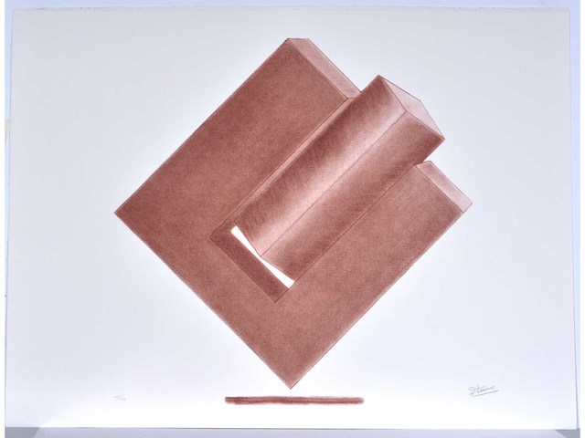 Hilde van sumere - kleurenzeefdruk - 1/130 - afbeelding 2 van  6