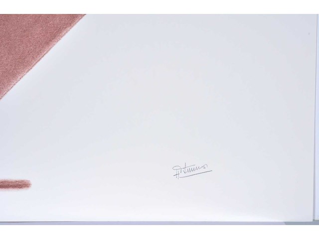 Hilde van sumere - kleurenzeefdruk - 1/130 - afbeelding 3 van  6