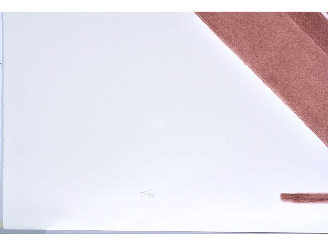 Hilde van sumere - kleurenzeefdruk - 1/130 - afbeelding 4 van  6