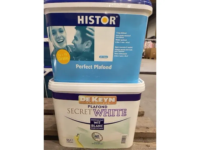 Histor & de keyn wit plafond - afbeelding 1 van  2