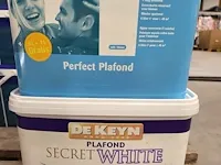 Histor & de keyn wit plafond - afbeelding 1 van  2