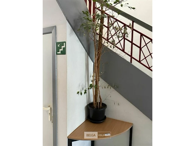 Hoektafel + stoel - afbeelding 5 van  5