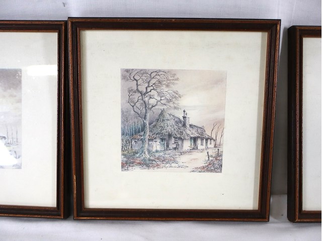 Hof wesenlink in de 4 seizoenen - afbeelding 4 van  6