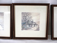 Hof wesenlink in de 4 seizoenen - afbeelding 4 van  6