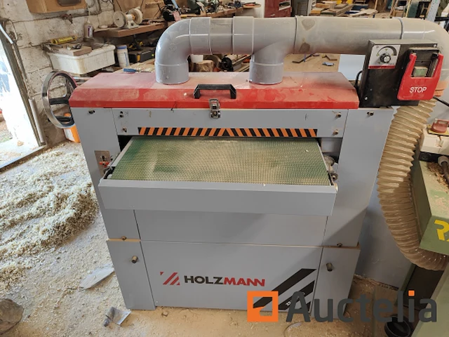 Holzmann houtbewerkingsmachine de houtmann cilindrische schuurmachine zs635neo - afbeelding 1 van  6