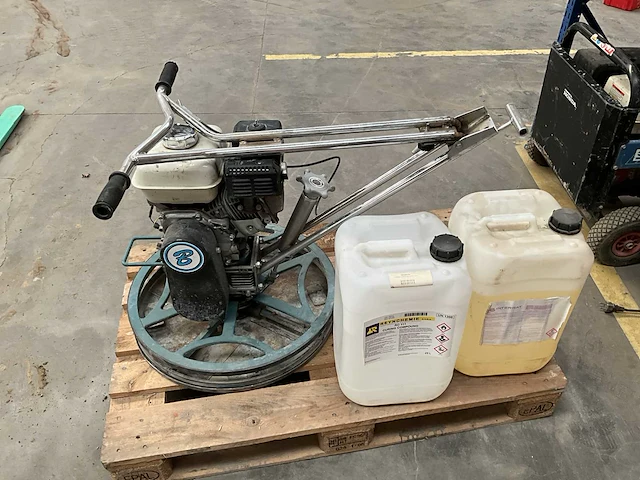 Honda cementvlinder - afbeelding 4 van  5