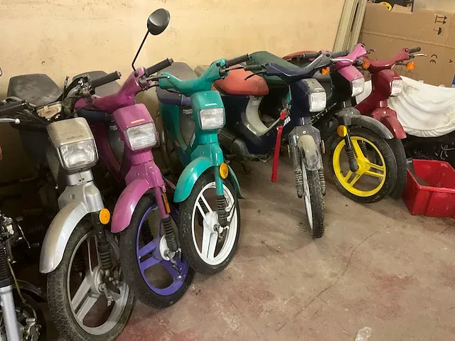 Honda wallaroo scooter (6x) - afbeelding 1 van  15