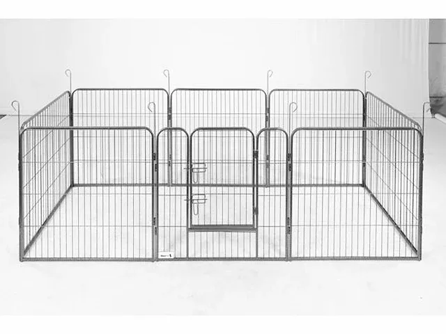 Hondenren of puppyren - afbeelding 3 van  3