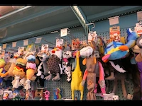 Hondenspeelgoed, voerbakken, kattenbakken, enz. - afbeelding 6 van  20