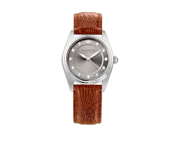 Horloge antverpia silver case - grey dial - brown leather - afbeelding 1 van  3