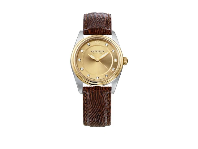 Horloge antverpia silver/yellow case - yellow dial - dark brown leather - afbeelding 1 van  3
