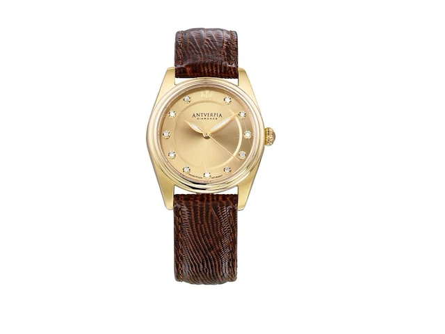 Horloge antverpia yellow case - yellow dial - dark brown leather - afbeelding 1 van  3