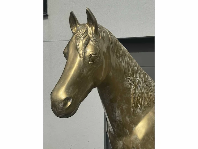 Horse xl gold h185cm - afbeelding 2 van  5