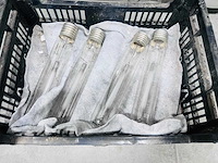 Hortilux schreder - 600 watt tl-lampen - buitenverlichting (11x) - afbeelding 2 van  4