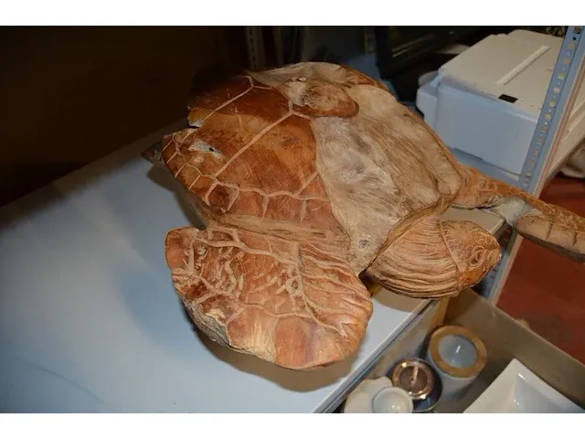 Houten beeld schildpad - afbeelding 5 van  6