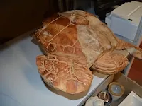 Houten beeld schildpad - afbeelding 5 van  6