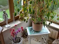 Houten ladenkast 5 laden, ijzeren tafeltje dambord blad, houten plantenstaander, barometer, 4 bloempotten met planten, diverse sierstukken - afbeelding 2 van  12