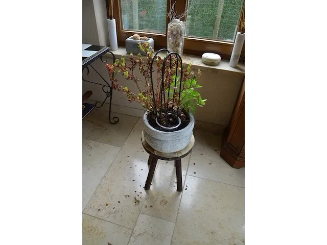 Houten ladenkast 5 laden, ijzeren tafeltje dambord blad, houten plantenstaander, barometer, 4 bloempotten met planten, diverse sierstukken - afbeelding 10 van  12